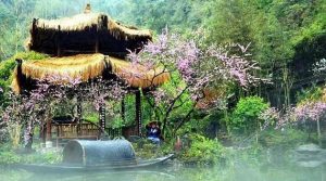 穿越六百年時空交錯點的旅程