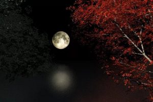 秋夜