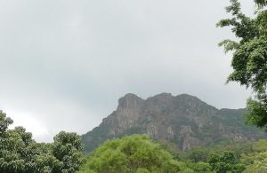 大地詩情、登獅子山二首
