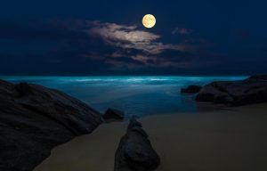 月夜流浪的原鄉