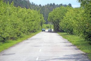 公路疑雲