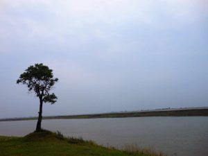 汩羅懷古、讀武俠小說有感