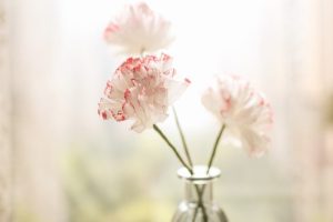 作聯新會員名單（2024年3月更新）