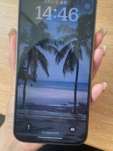 路上偶見