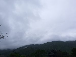 浮游翰海