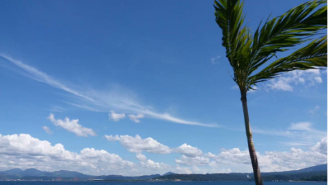 同一片天空，我們都被籠罩著