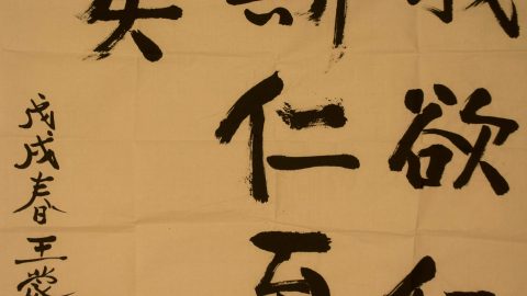 王蒙：我欲仁斯仁至矣