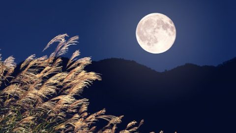 編後語：不住的思念
