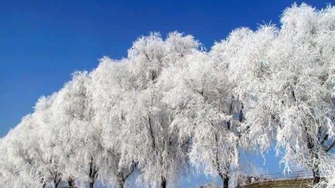卷首語：藉著文學，我們輕輕飛過時間的皺褶