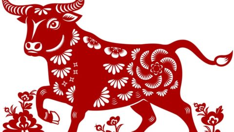《香港作家》網絡版第七期（2021年2月號）徵稿
