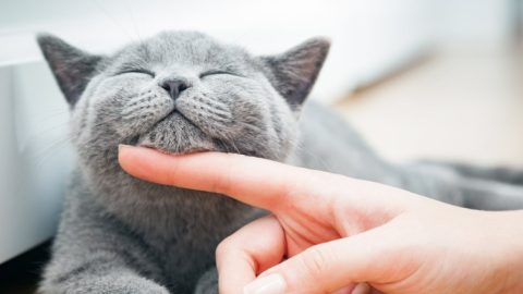 零碎