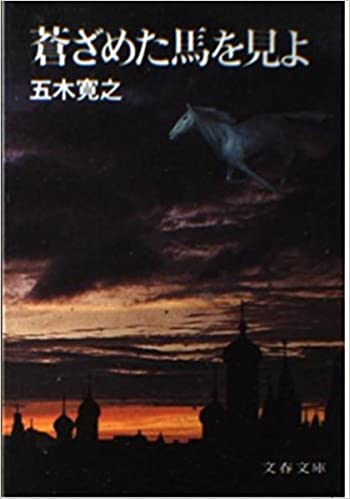 短篇的含義