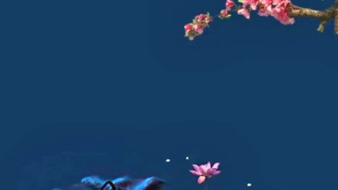 朋友就是鏡花水月中的自己