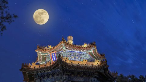 他鄉逐明月