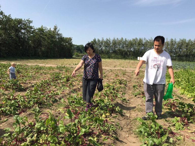 大地兩題