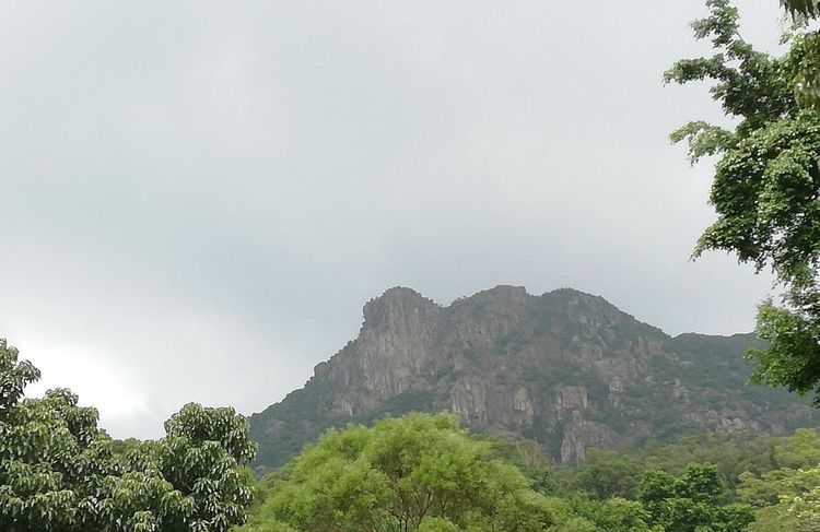 大地詩情、登獅子山二首