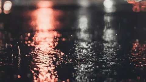 雨中晚行，用文華師春郊晚行韻（外三首）