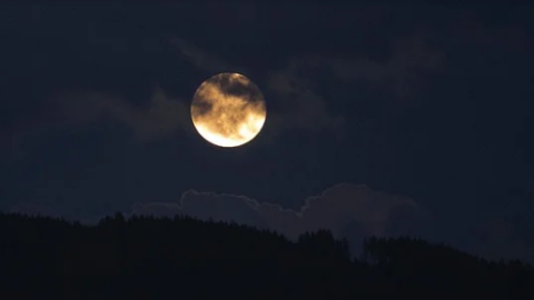 中秋夜待月（外一首）