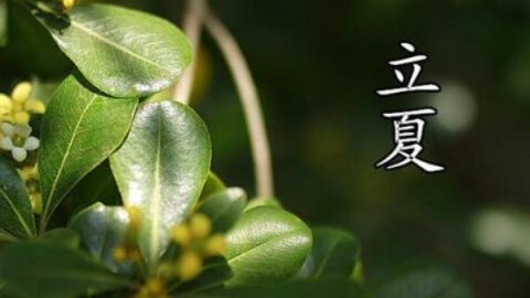 癸卯之夏六首