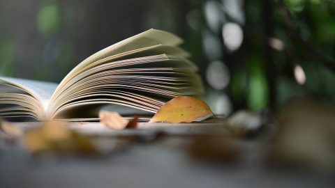 讀書偶題（外三首）