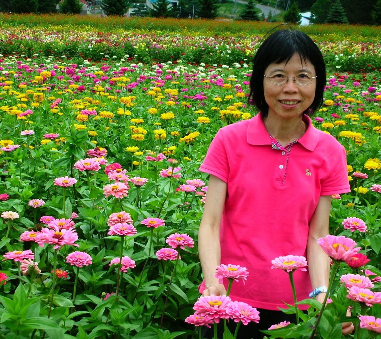 島城：愛的詠歎調 ——序吳佩芳的長篇《秋山紅葉》