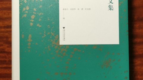 湖城小巷  布衣大愛——讀徐重慶文集