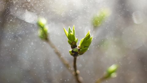 編後語：在一首無言的詩中凝結永恆