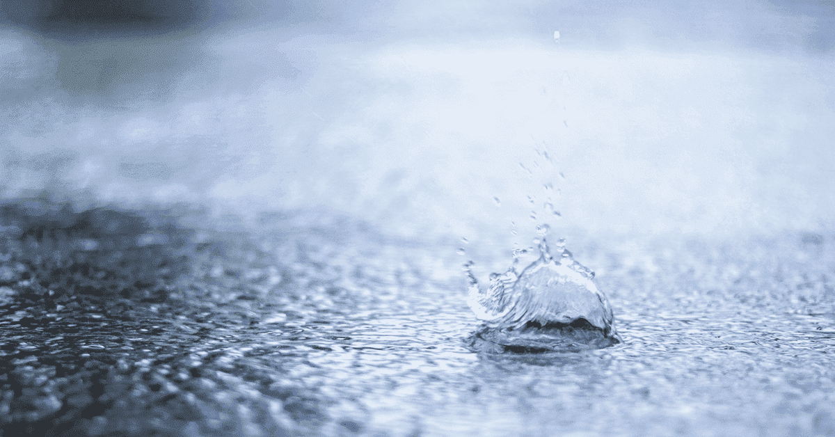 雨