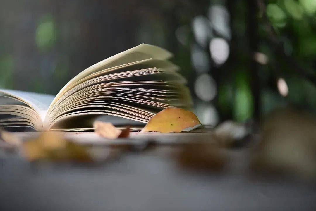 《香港作家》網絡版第三十八期（2026年4月號）徵稿