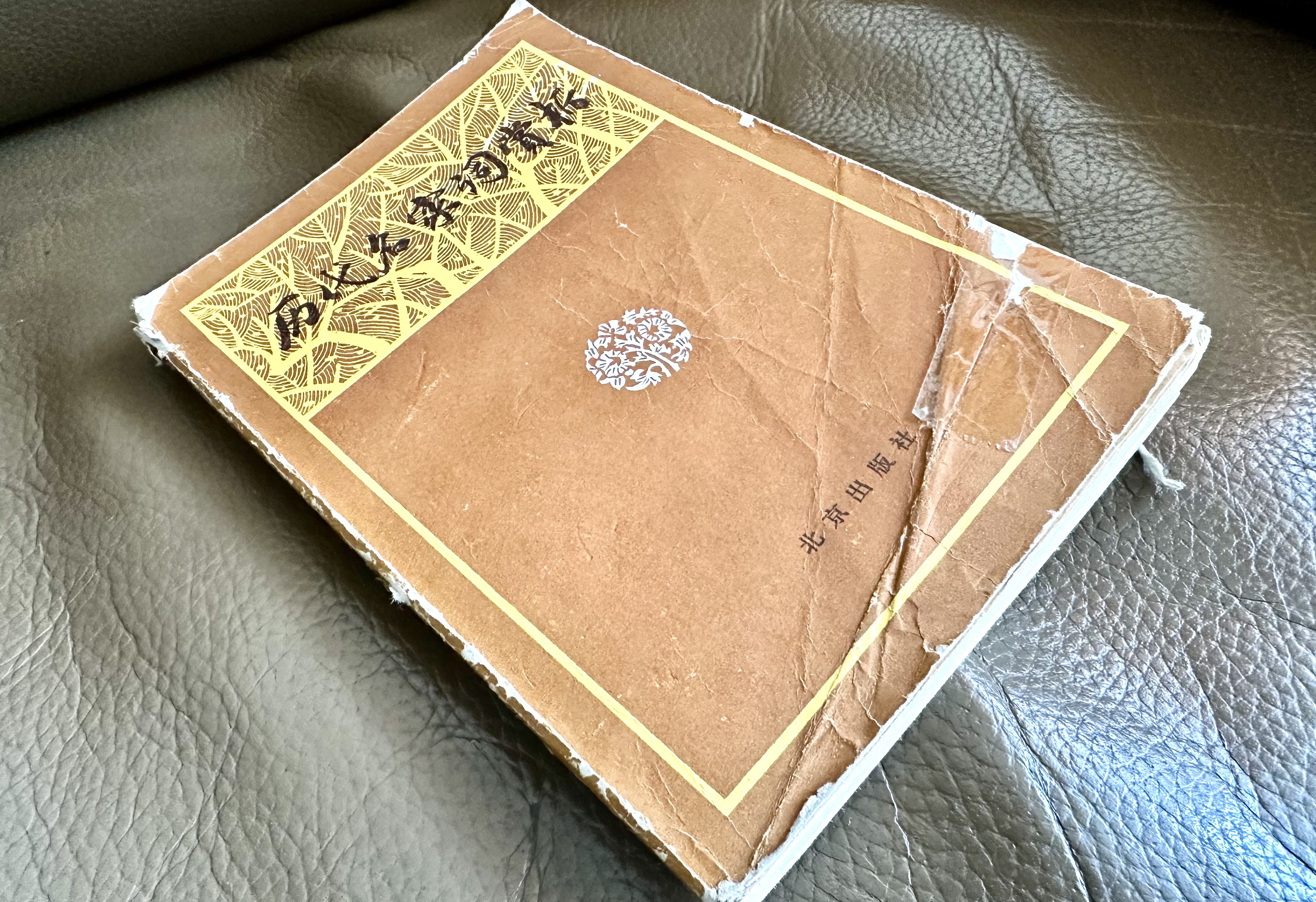 摩挲——我的文學記憶