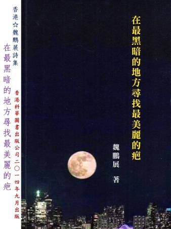 我的作家之路