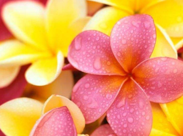 讀溪山煙雨樓詩存（外二首）