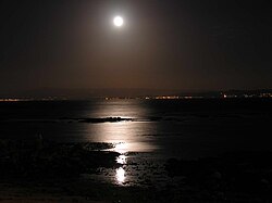 我沿著文學的夜間行走