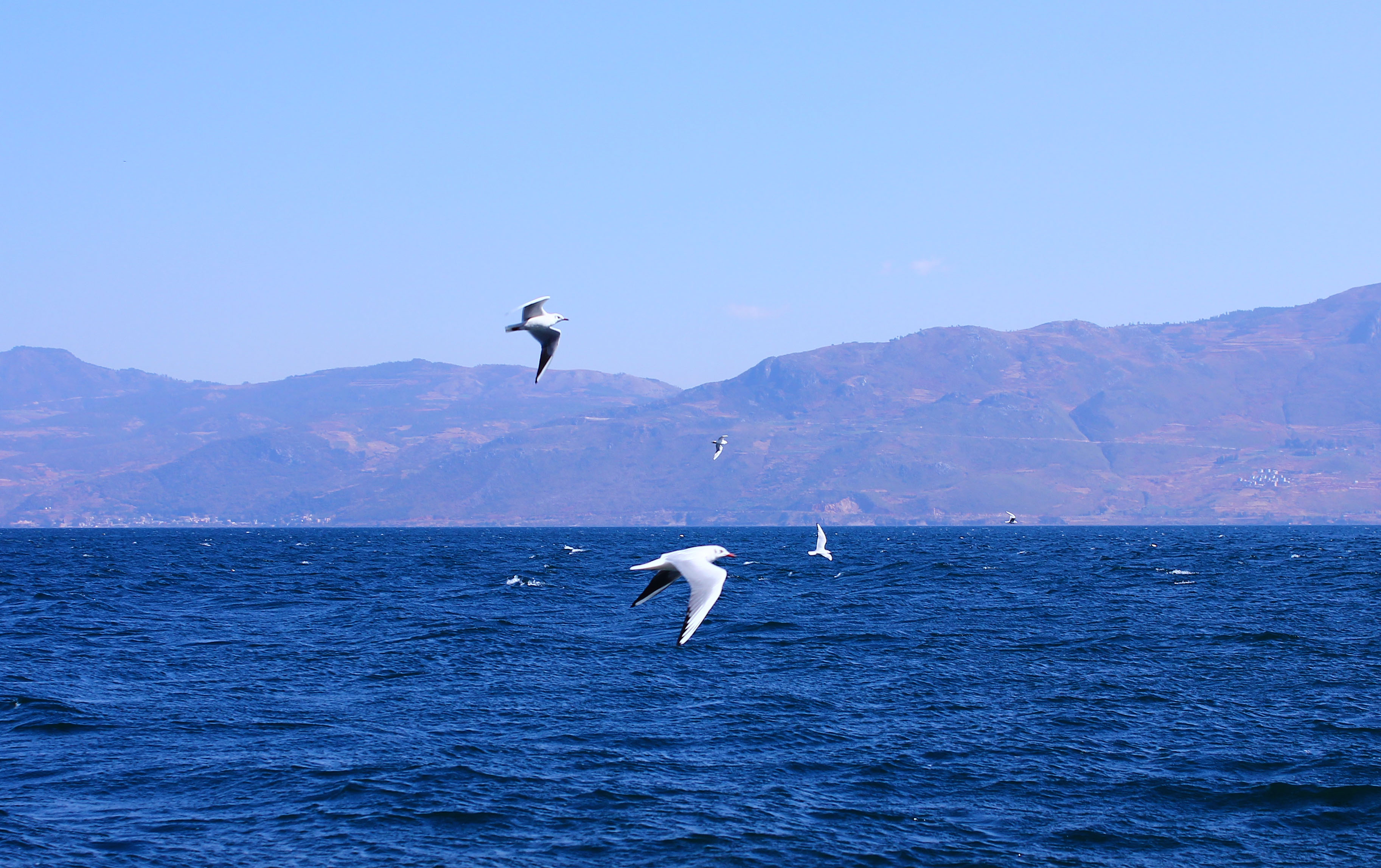 把地上的歌唱給天空聽